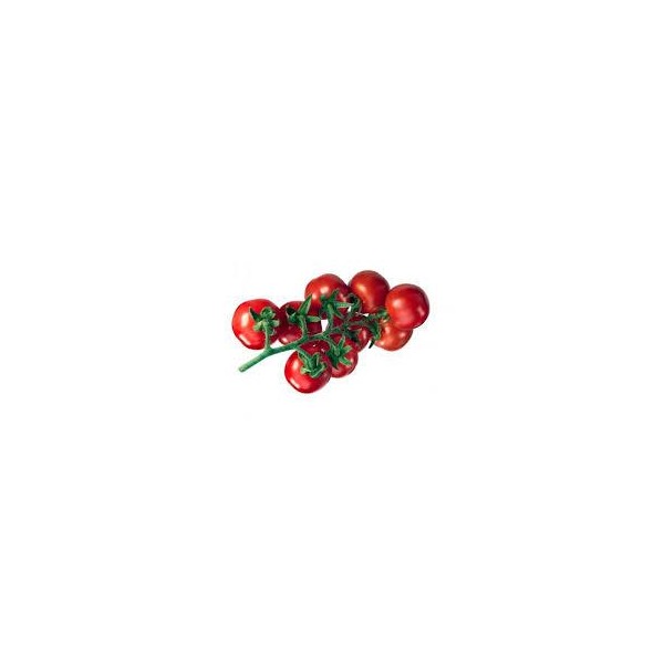 SEMILLA TOMATE COLGAR SOBRE