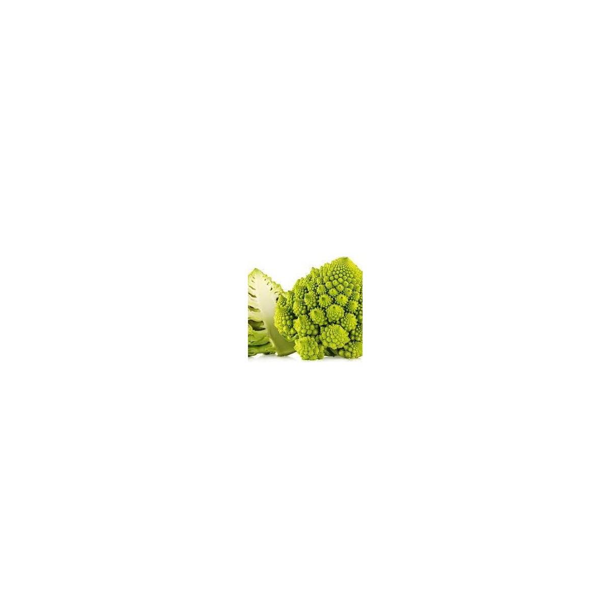 SEMILLA COLIFLOR ROMANESCO SOBRE