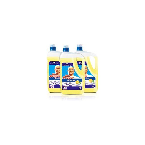 MISTER PROPER PROFESIONAL 5L
