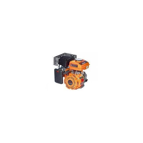 MOTOR 4T  6.5CV EURO V MA196