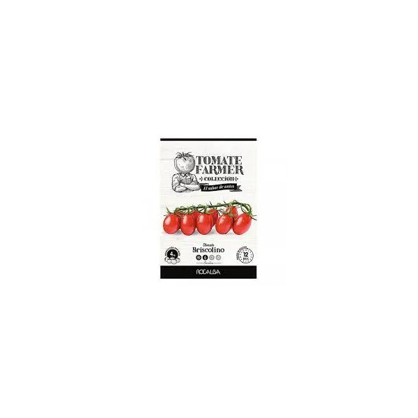 SEMILLA TOMATE FARMER BRISCOLINO SOBRE ROCALVA