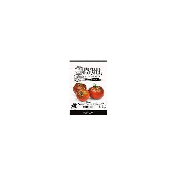 SEMILLA TOMATE FARMER NOIR CE CRIME SOBRE ROCALVA
