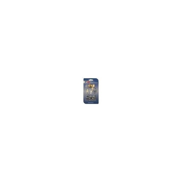 CERRADURA BUZON BTV ORO KIT