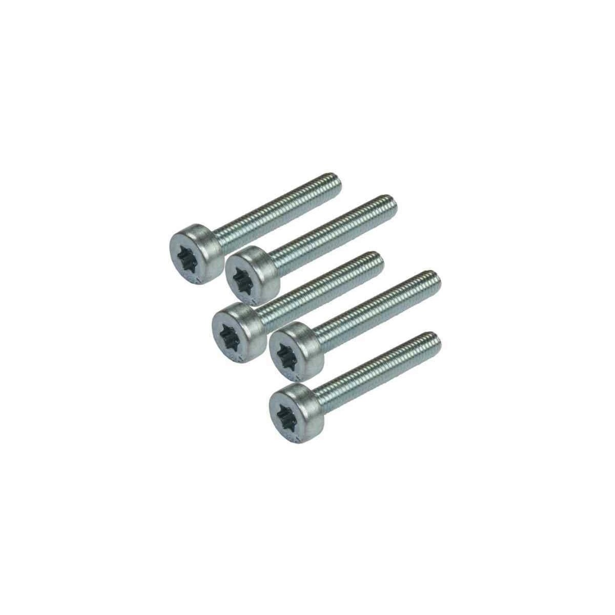 TORNILLO TORX 6*3 PARA DESBROZADORA STHIL