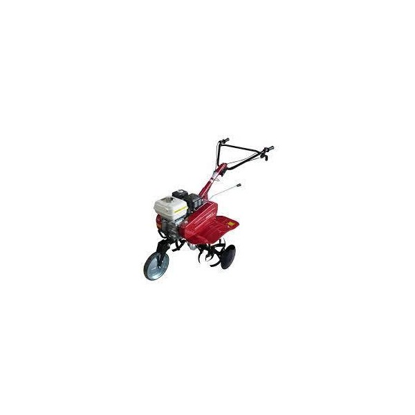 ALQUILER DIA MOTOAZADA 5HP