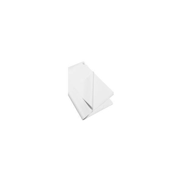 PAPEL SEDA BLANCO MANO 25 UNID