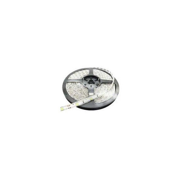 TIRA LEDS DIRECTA CON TRAFO TR 6 MTR 12V  RGB