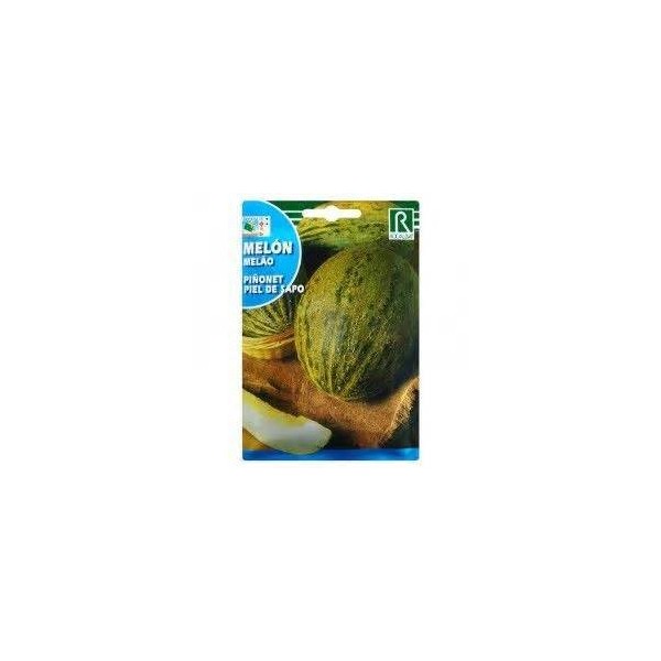 SEMILLA MELON PIEL SAPO SOBRE ROCALVA O EURO