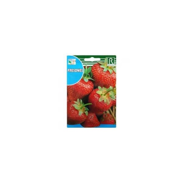 SEMILLA FRESAS SOBRE