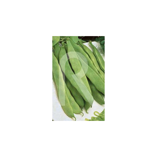SEMILLA JUDIA GARRAFAL CAJA 250GM ROCALVA