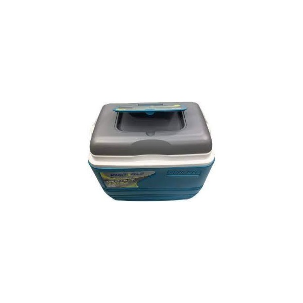 NEVERA AMARILLA GRIS PINNACLE 25LT