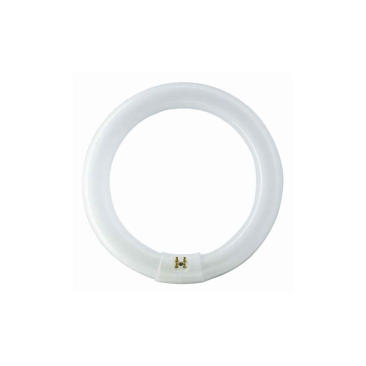 TUBO FLUORESCENTE CIRCULAR 40W