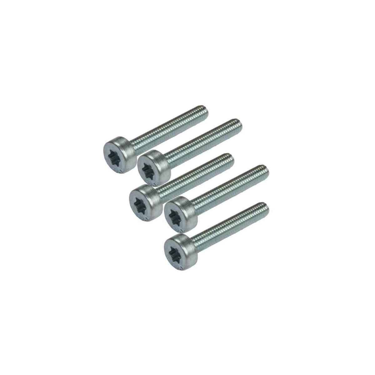 TORNILLO TORX 5*24 PARA DESBROZADORA STHIL
