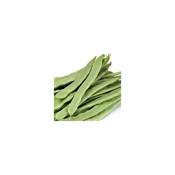 SEMILLA JUDIA BACLE CAJA 250GM