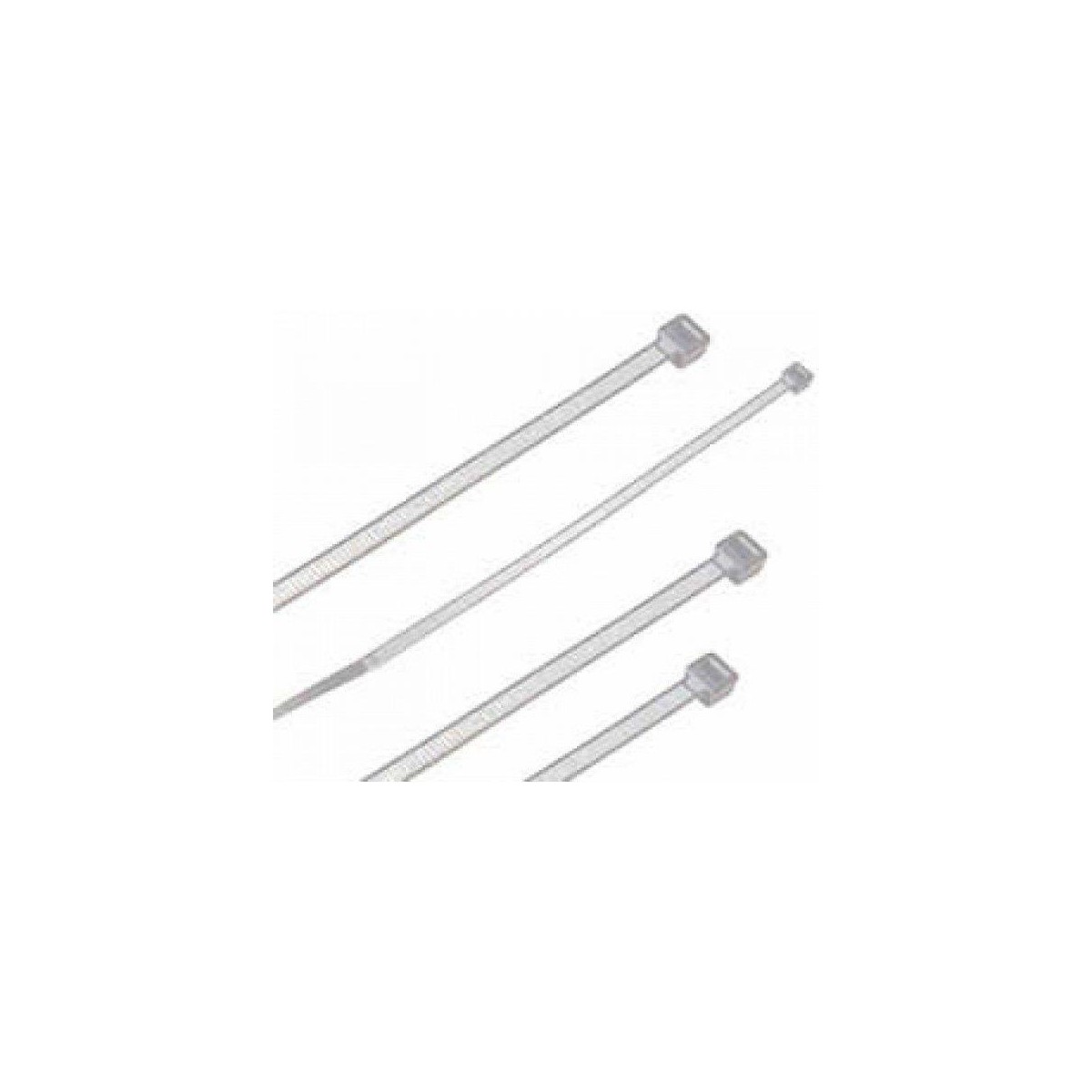 BRIDAS BLANCA 250*4.8MM 100 UNI