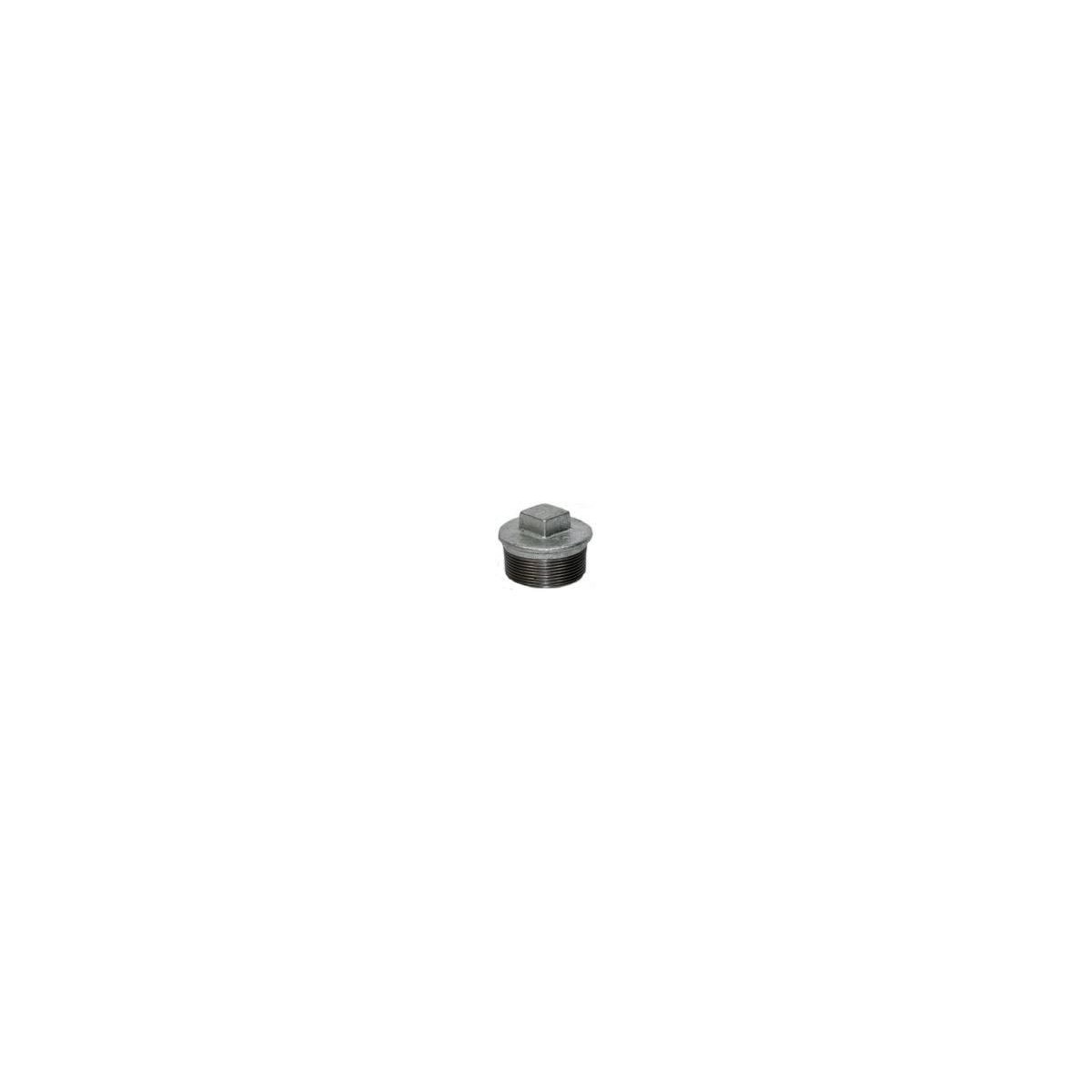 TAPON  GALVANIZADO 1"-1/4