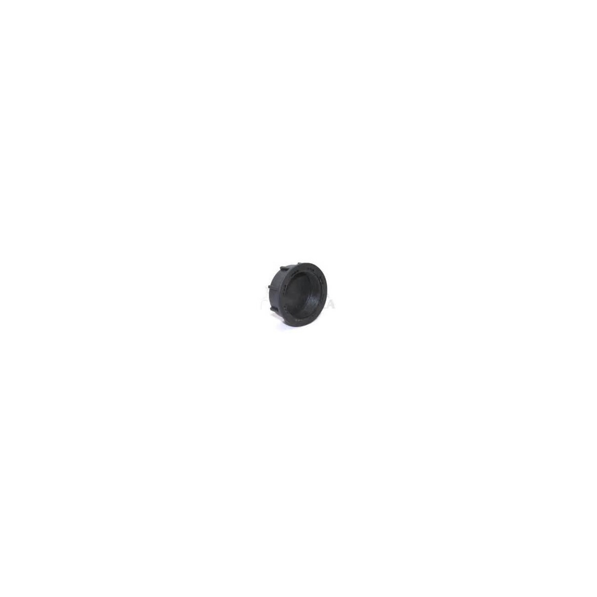 TAPON PLASTICO HEMBRA 2"